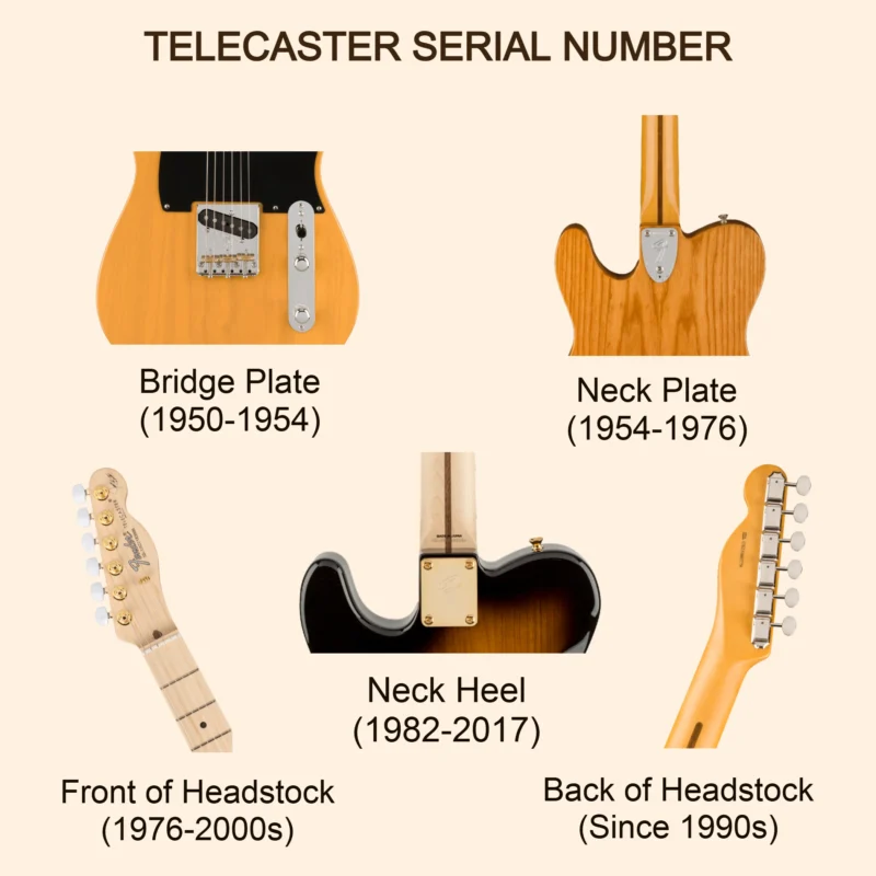 Fender Serial Number Lookup Telecaster Serial Number