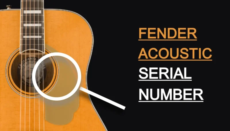 Fender Acoustic Serial Number