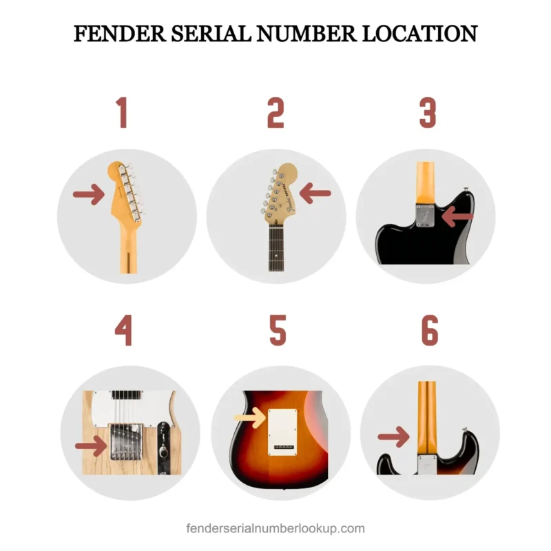 Fender Serial Number Lookup Fender Serial Number Location