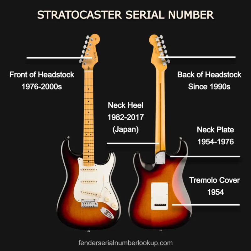 Fender Serial Number Lookup Stratocaster Serial Number