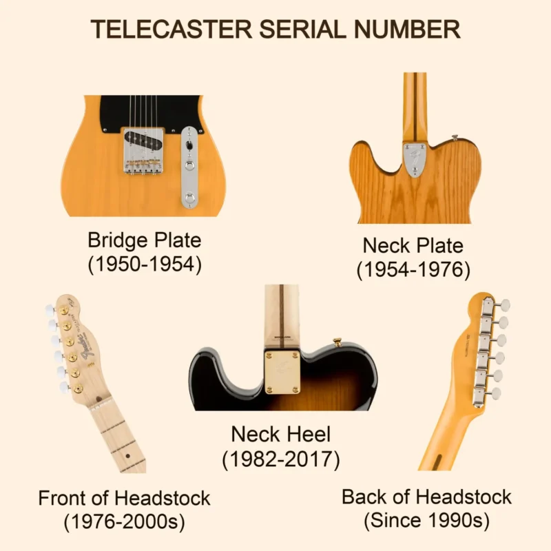 Fender Telecaster Serial Number Location